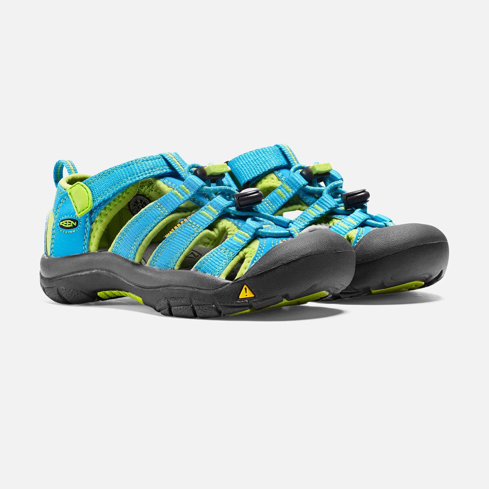 Sandalias Keen Mexico Azules/Verdes - Niños Newport H2 - CM4931872